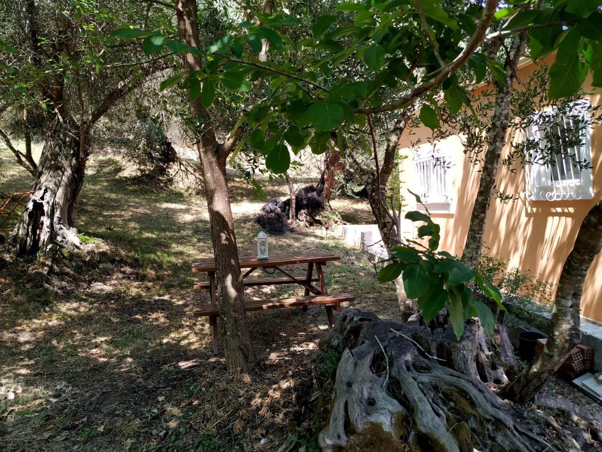 Family Holiday Apartment With Garden & Bbq Velonádes エクステリア 写真