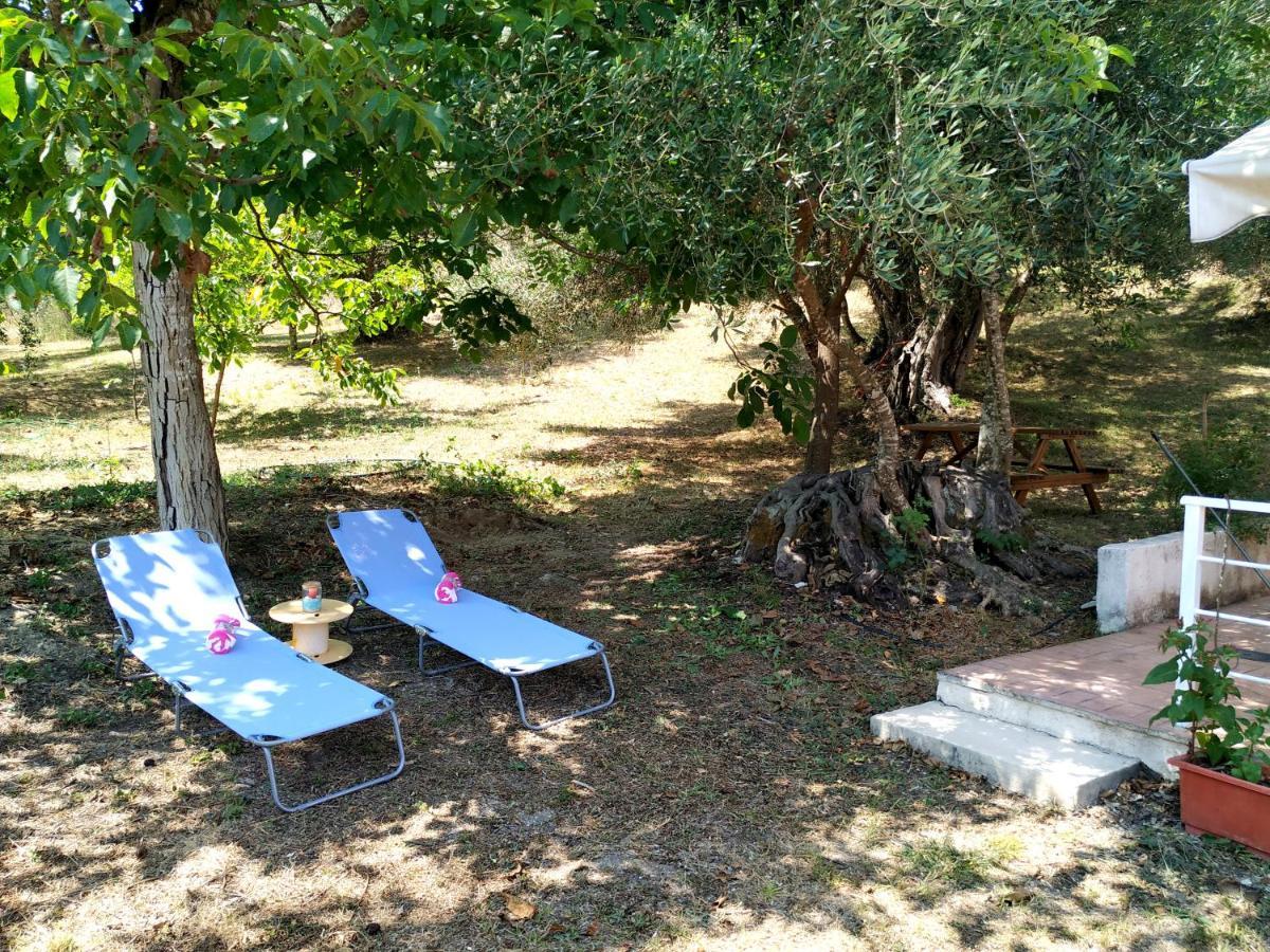 Family Holiday Apartment With Garden & Bbq Velonádes エクステリア 写真