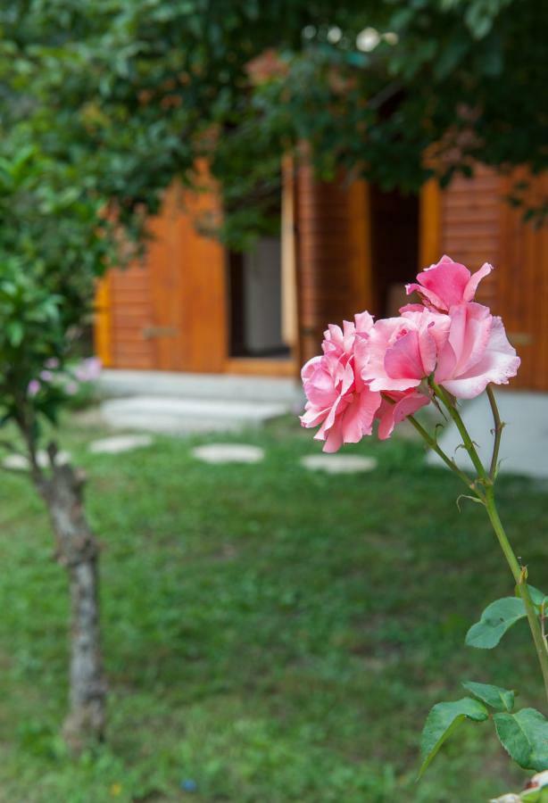 Family Holiday Apartment With Garden & Bbq Velonádes エクステリア 写真